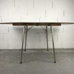 Table+1chaise Ant