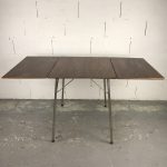 Table+1chaise Ant